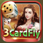 3cardfly logo