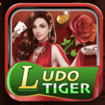 3 Patti Ludo Tiger