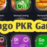 Bingo PKR Game