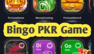 Bingo PKR Game App for Android | Play Online & Win Real Money (Free) 3