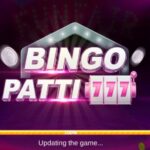 Bingo Patti Game