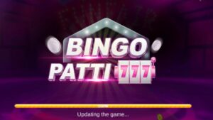 Bingo Patti Game 2025 | The Easy Earning App for Pakistan 3
