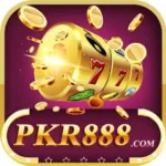 PKR 888 Game Apk